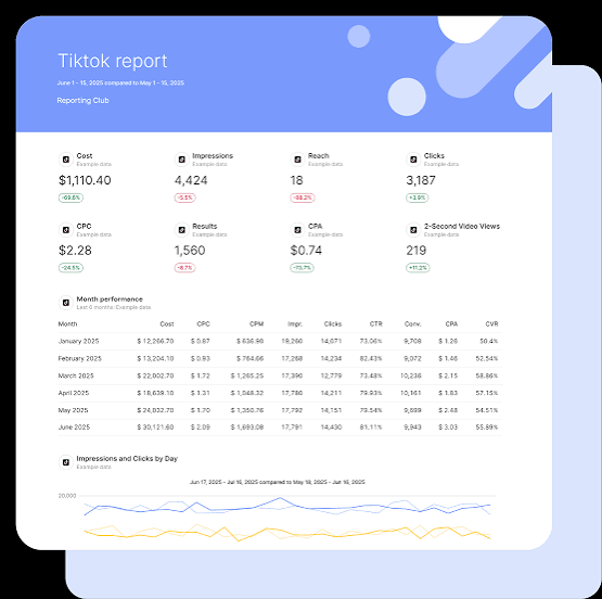 TikTok advertising monthly campaign overview